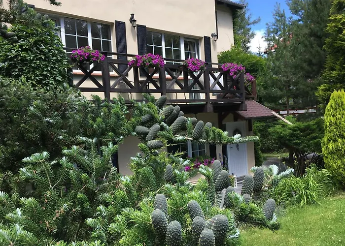 Szyszka Homestay szállás *